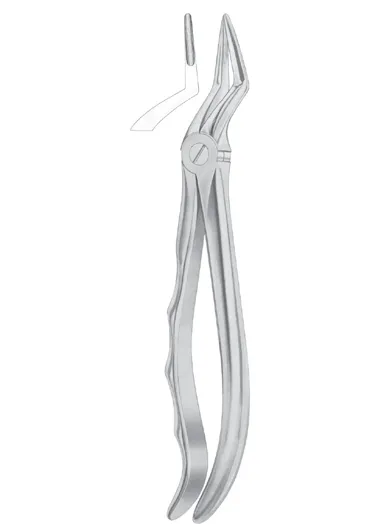 Fig. 51L upper roots 